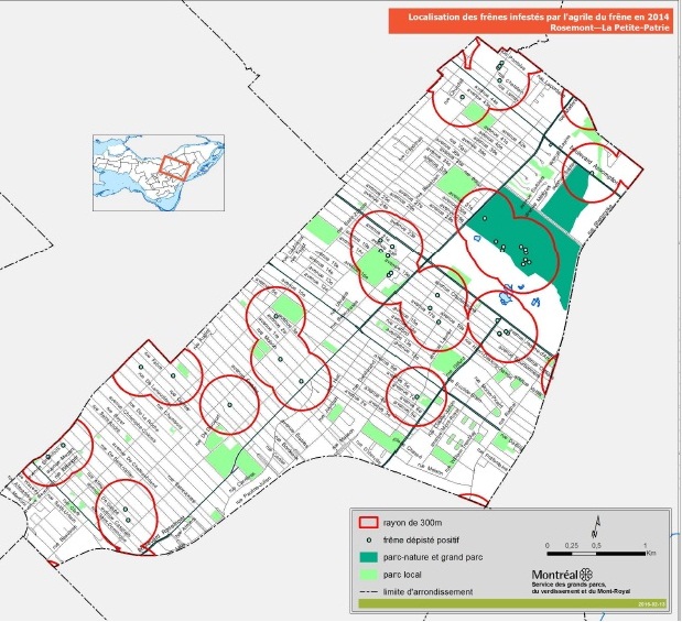 Carte fournie par la Ville-centre, qui montre les secteurs o&ugrave; les propri&eacute;taires sont concern&eacute;s par le nouveau r&egrave;glement de lutte &agrave; l'agrile du fr&ecirc;ne. 