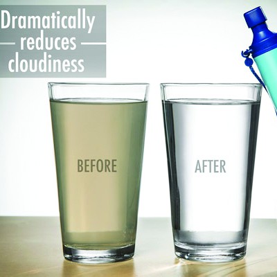 1lifestraw