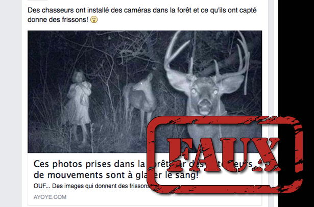 Non Ces Photos Prises Par Detecteur De Motion N Ont Rien De Surnaturel
