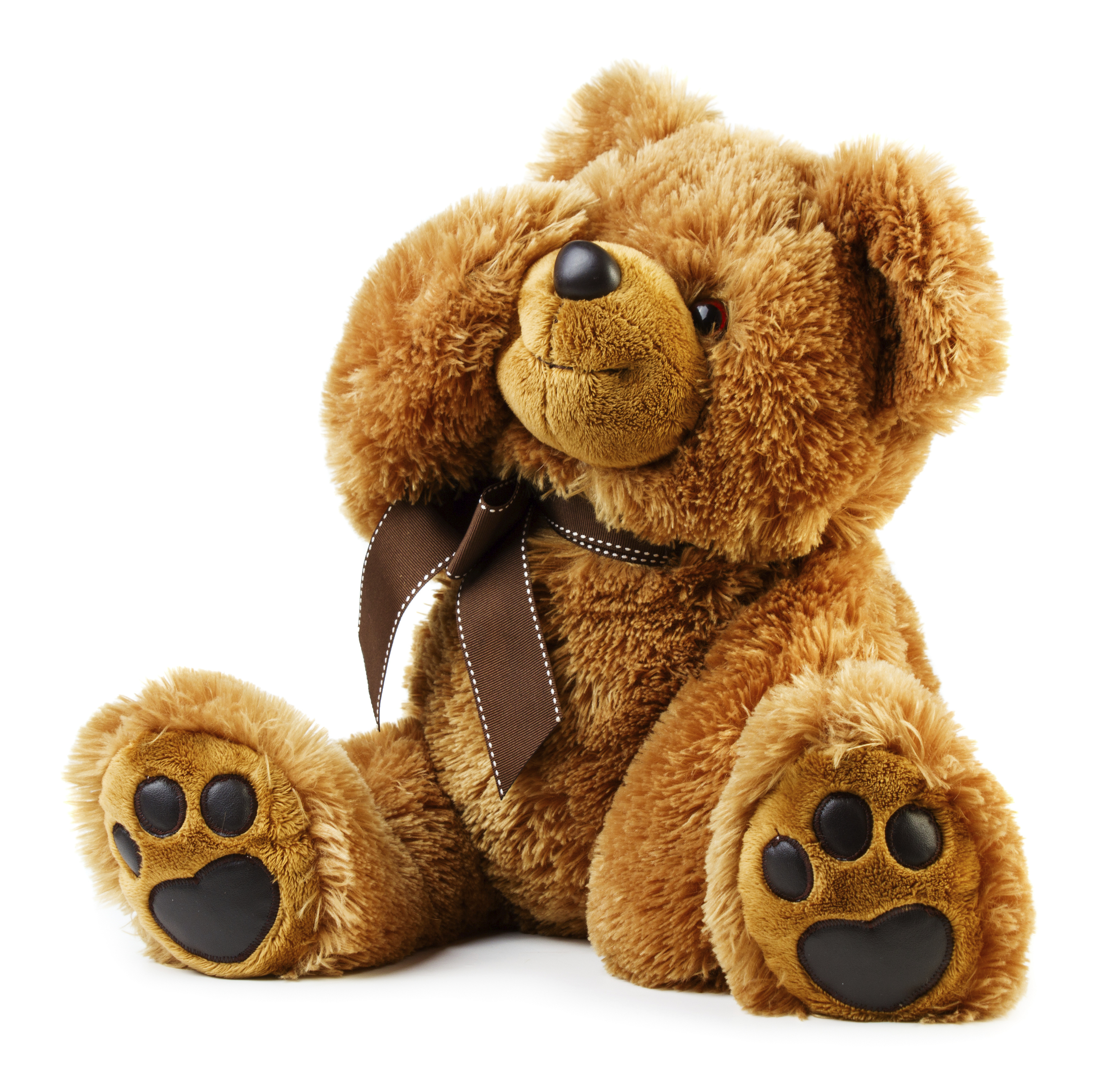 Ours en peluche