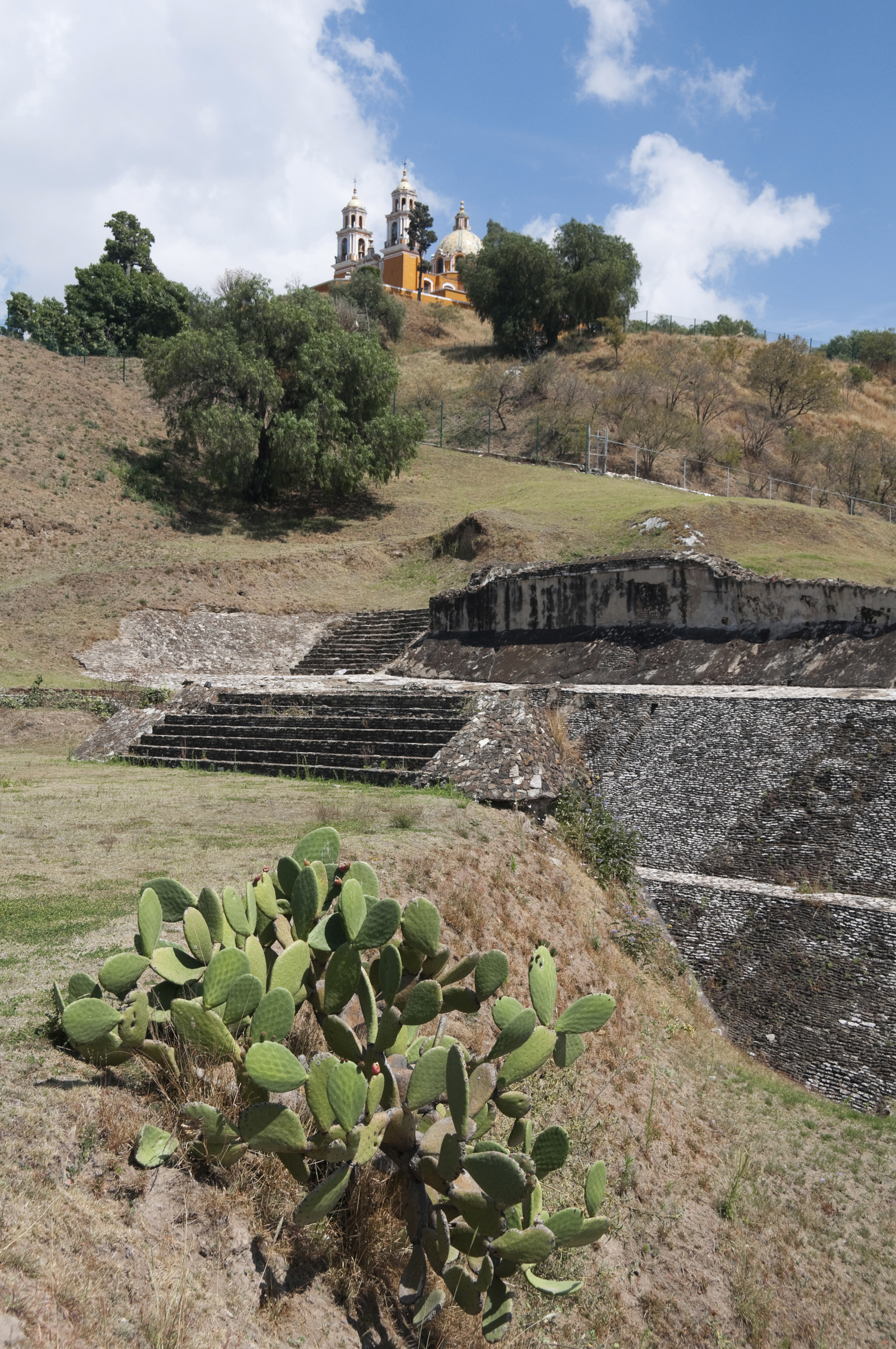 cholula