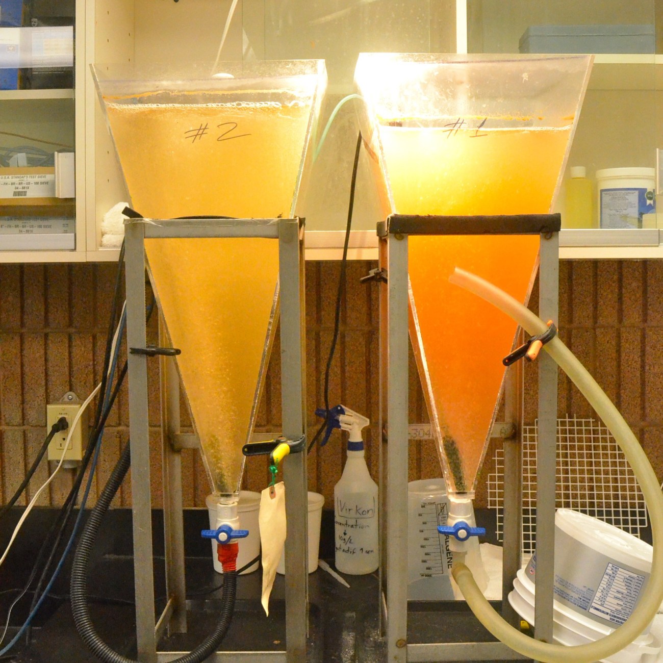 recherche biod&ocirc;me