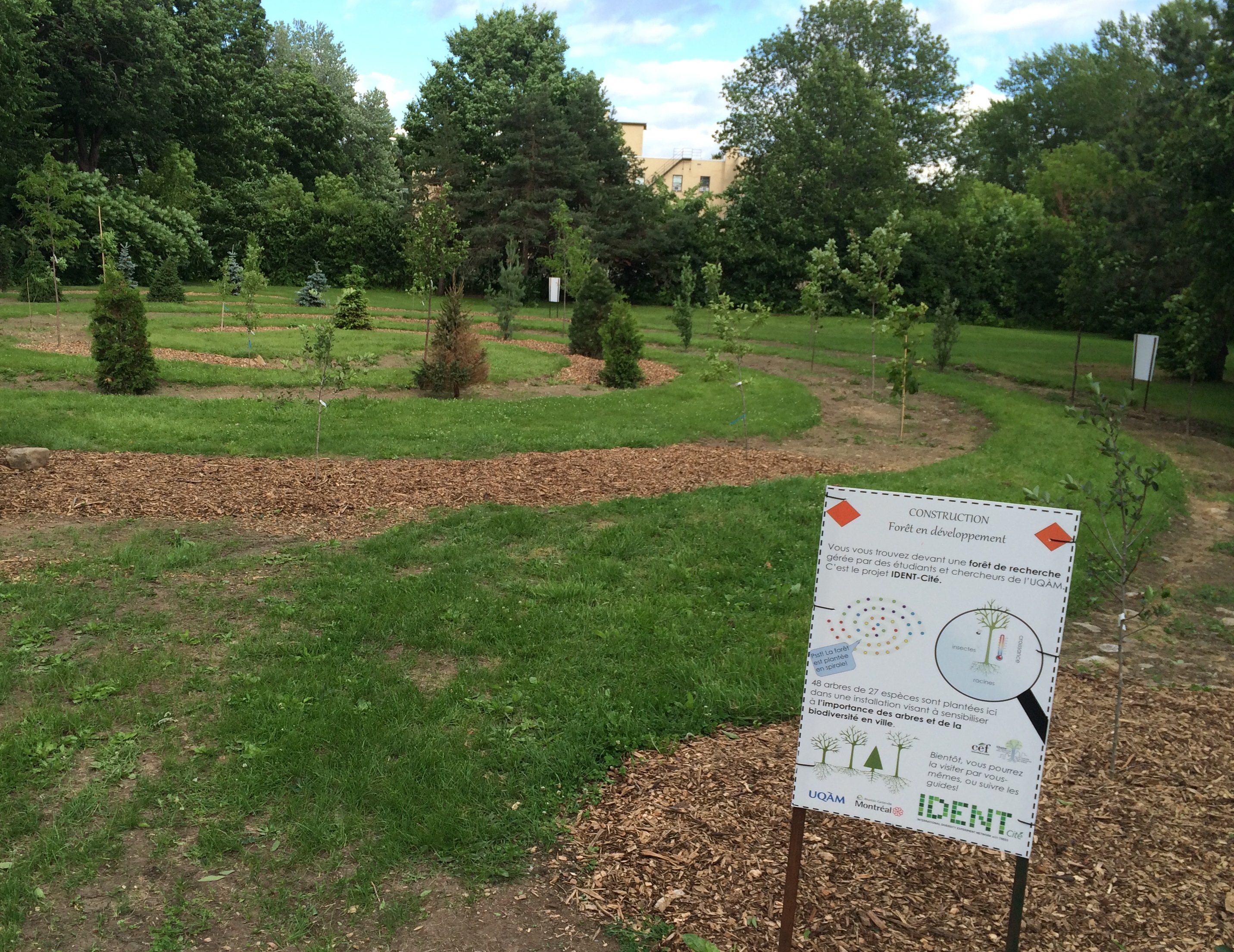 L'arboretum permet d'observer 48 arbres, de 27 esp&egrave;ces entre feuillus et conif&egrave;res de diverses origines dans le contexte de for&ecirc;t urbaine. Photo: Amine Esseghir / TC Media