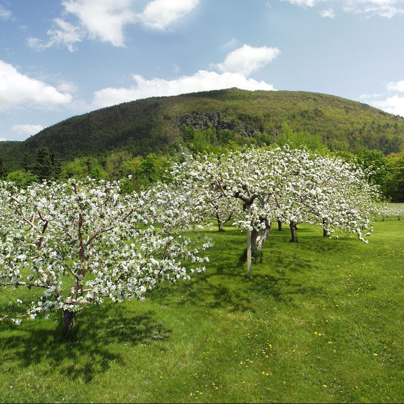route des cidres 4 credit tourisme monteregie