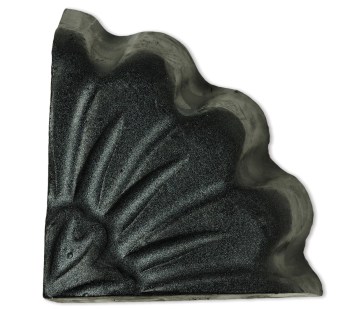 Nettoyant Face de charbon