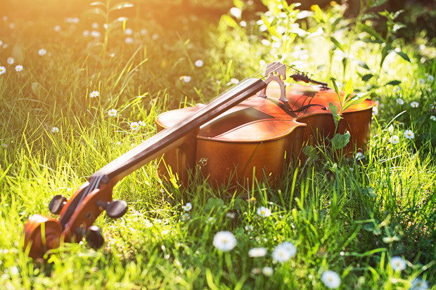 Les arts s'invitent au jardin