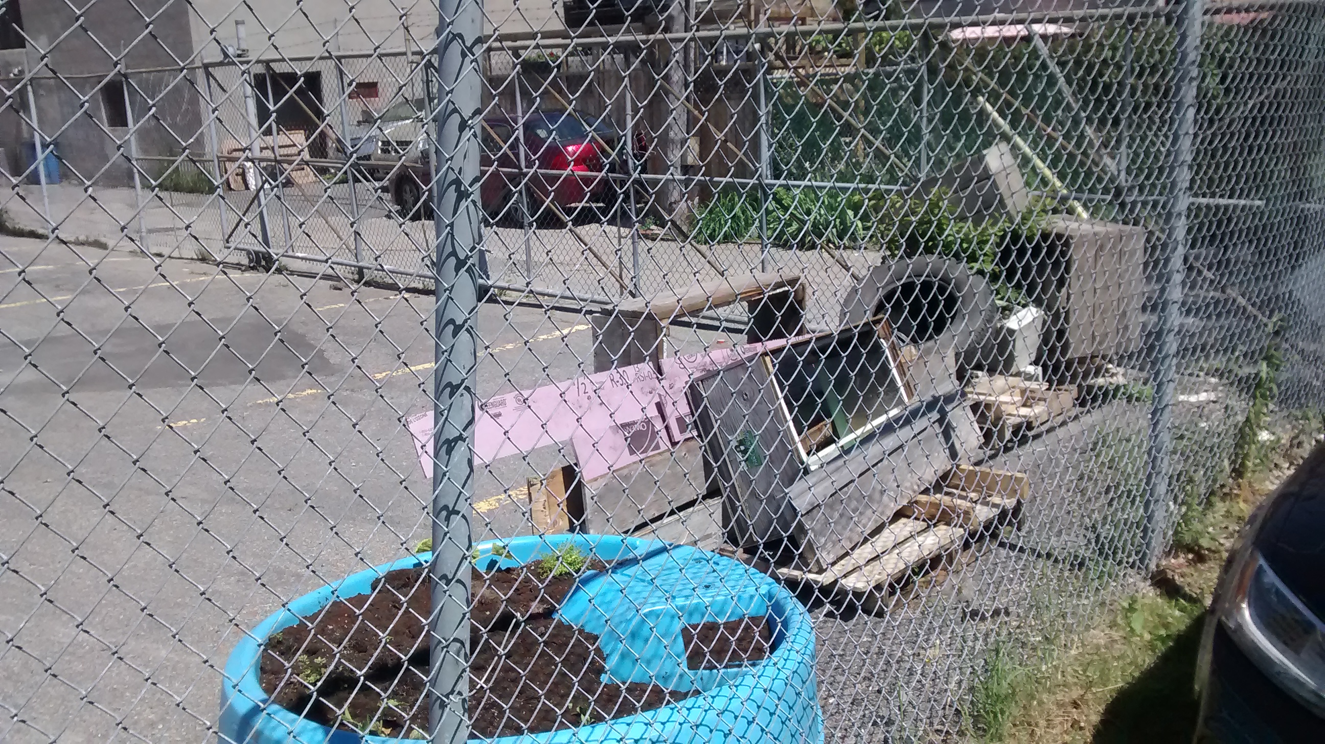 A-parc gorilles suite 2