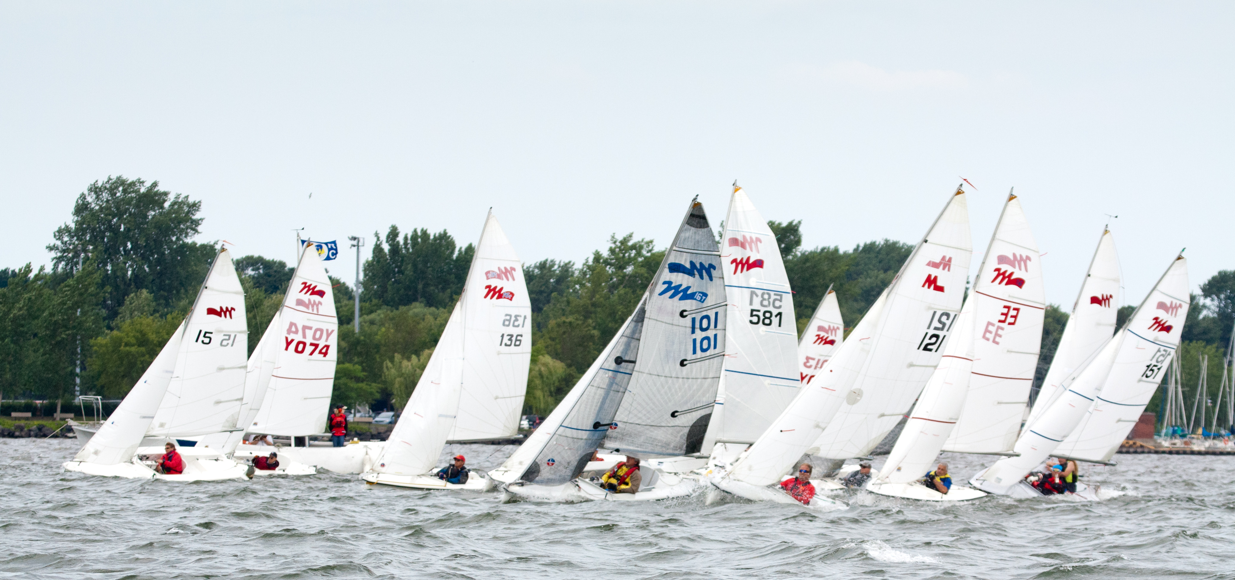 sailing regatta2