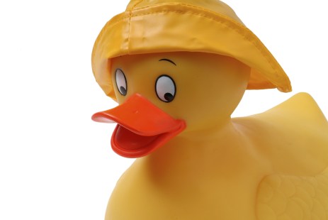 ThinkstockPhotos-122515684