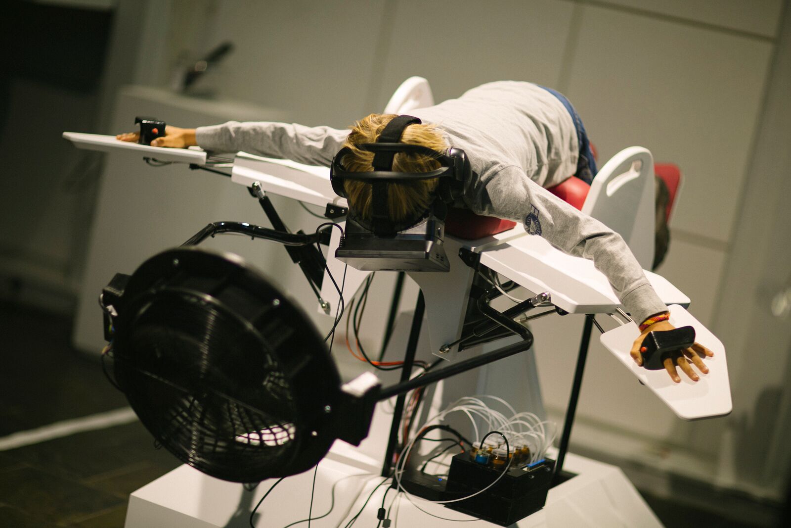 Birdly