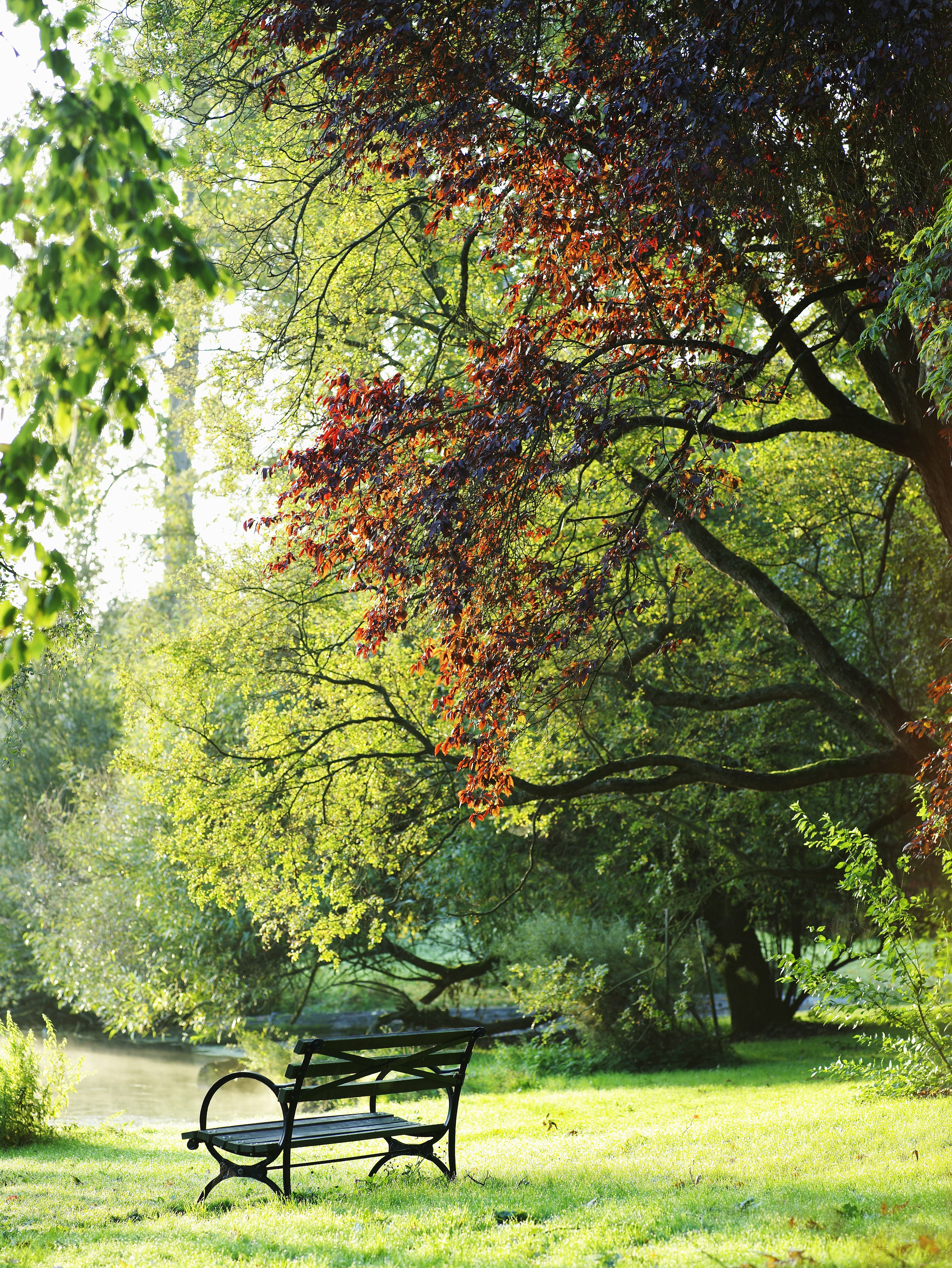 Park bench in park.
