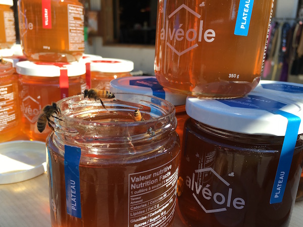 abeille 600