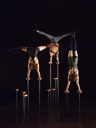 Un cirque dans&eacute; en trois temps