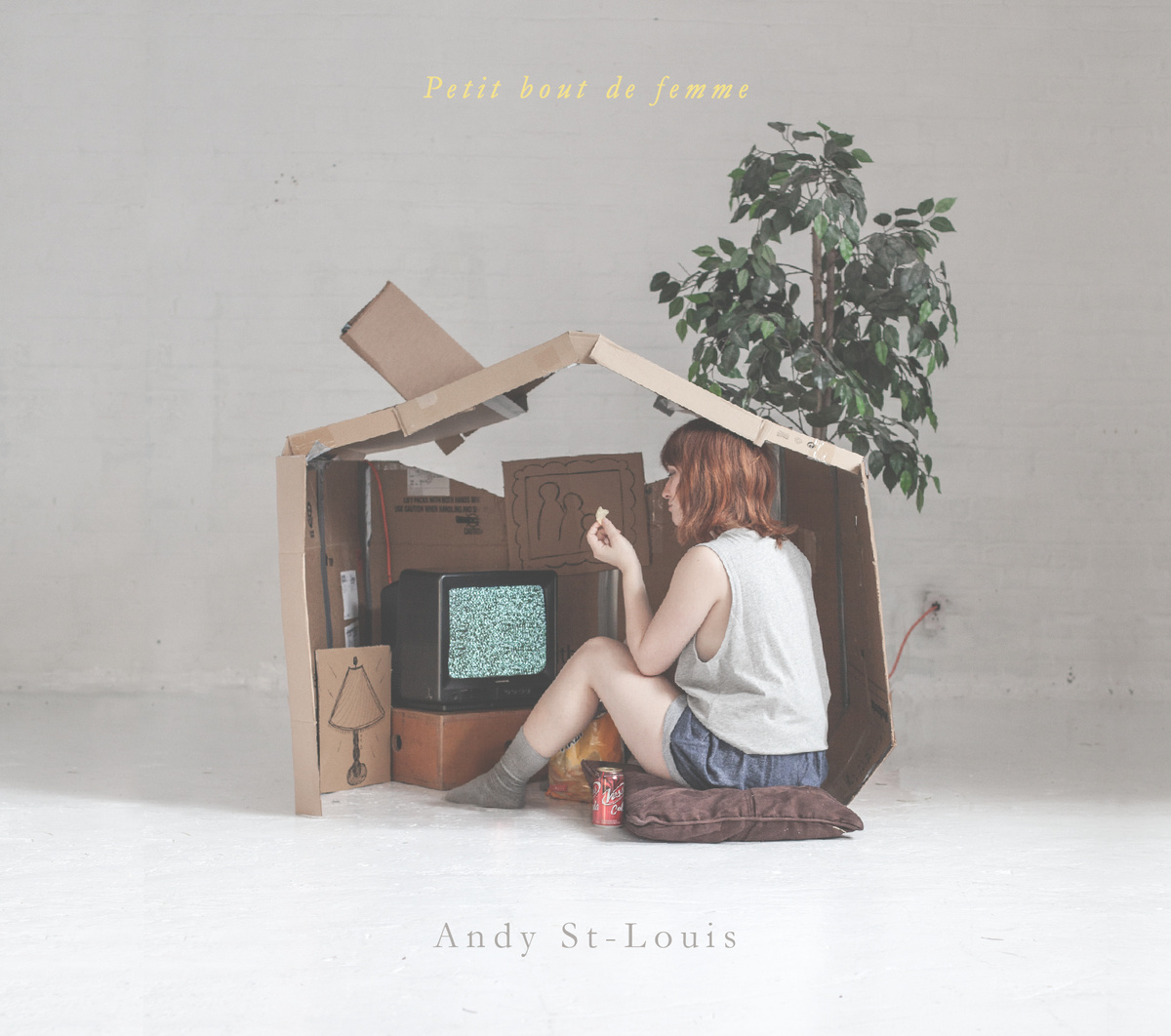 La chanteuse Andy St-Louis perd son compte Facebook... et ses 26 000 ...
