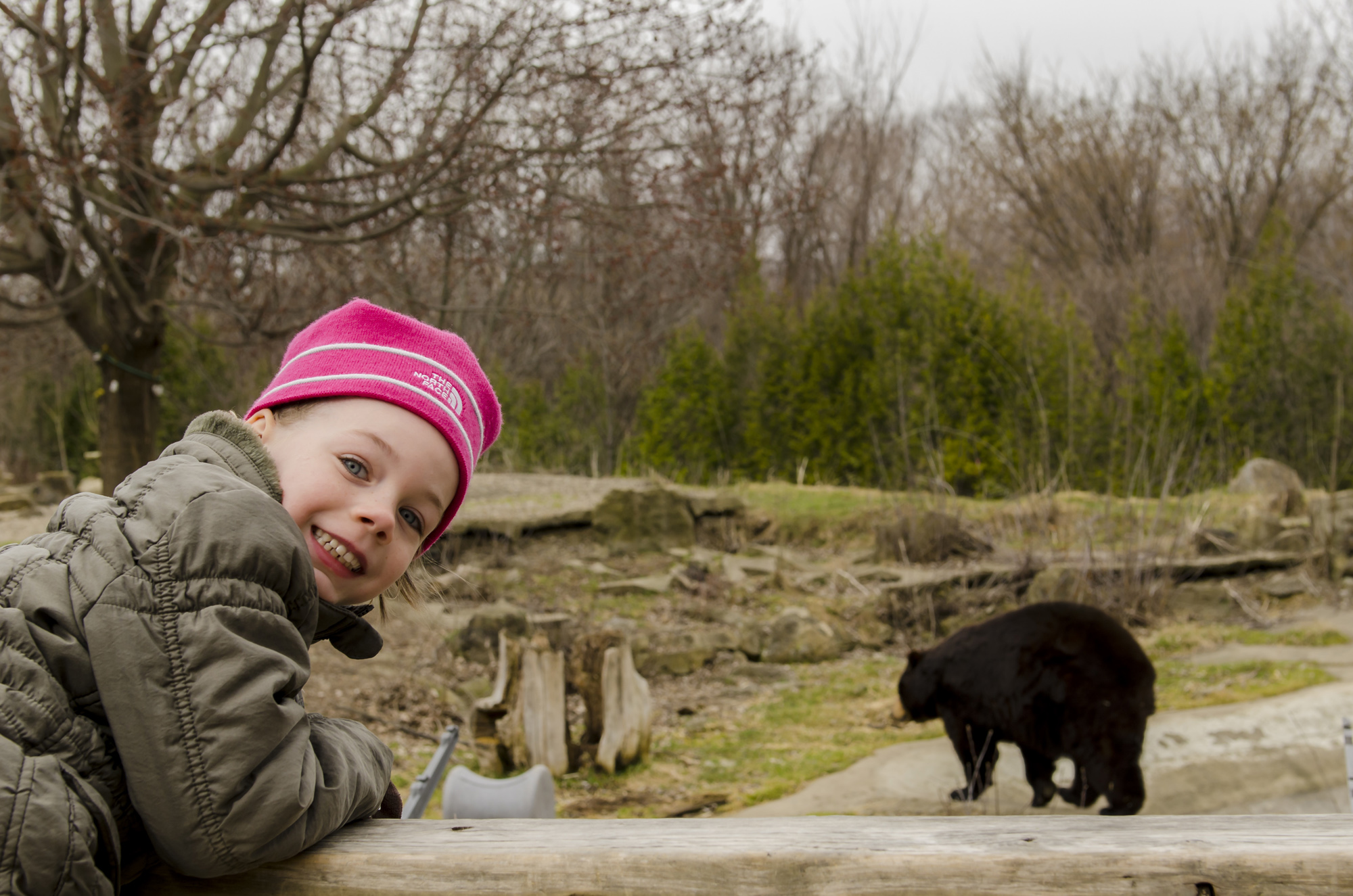 Zoo Ecomuseum Marie_Ours crédit David Rodrigue