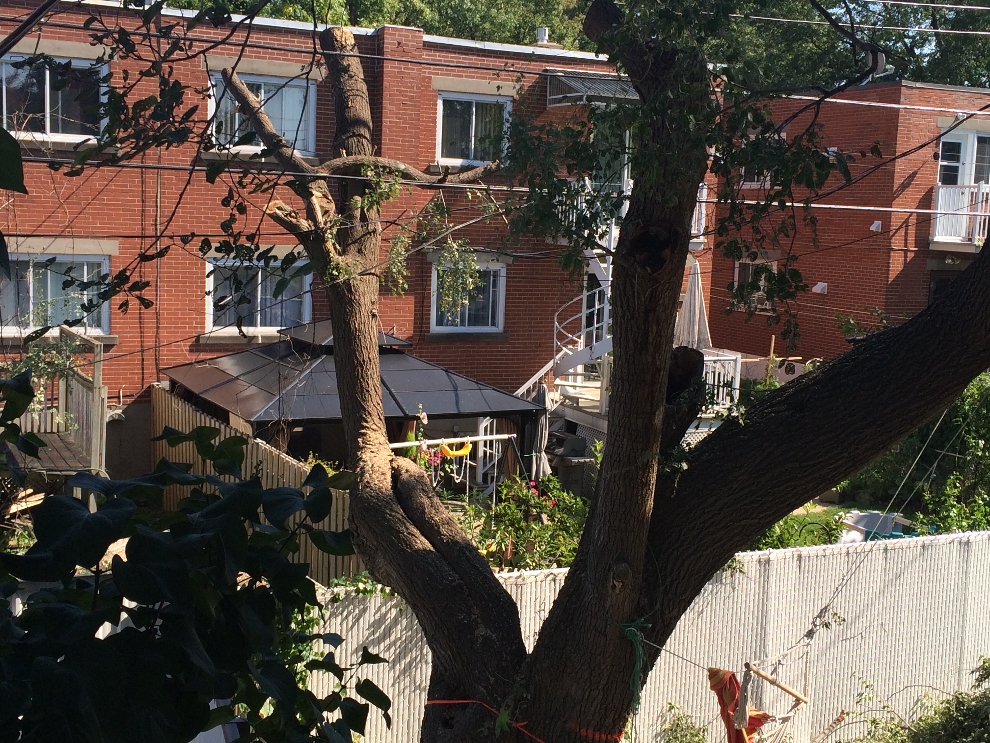 Croissant Montrichard Hydro Quebec Procede A L Elagage Tel Que Prevu