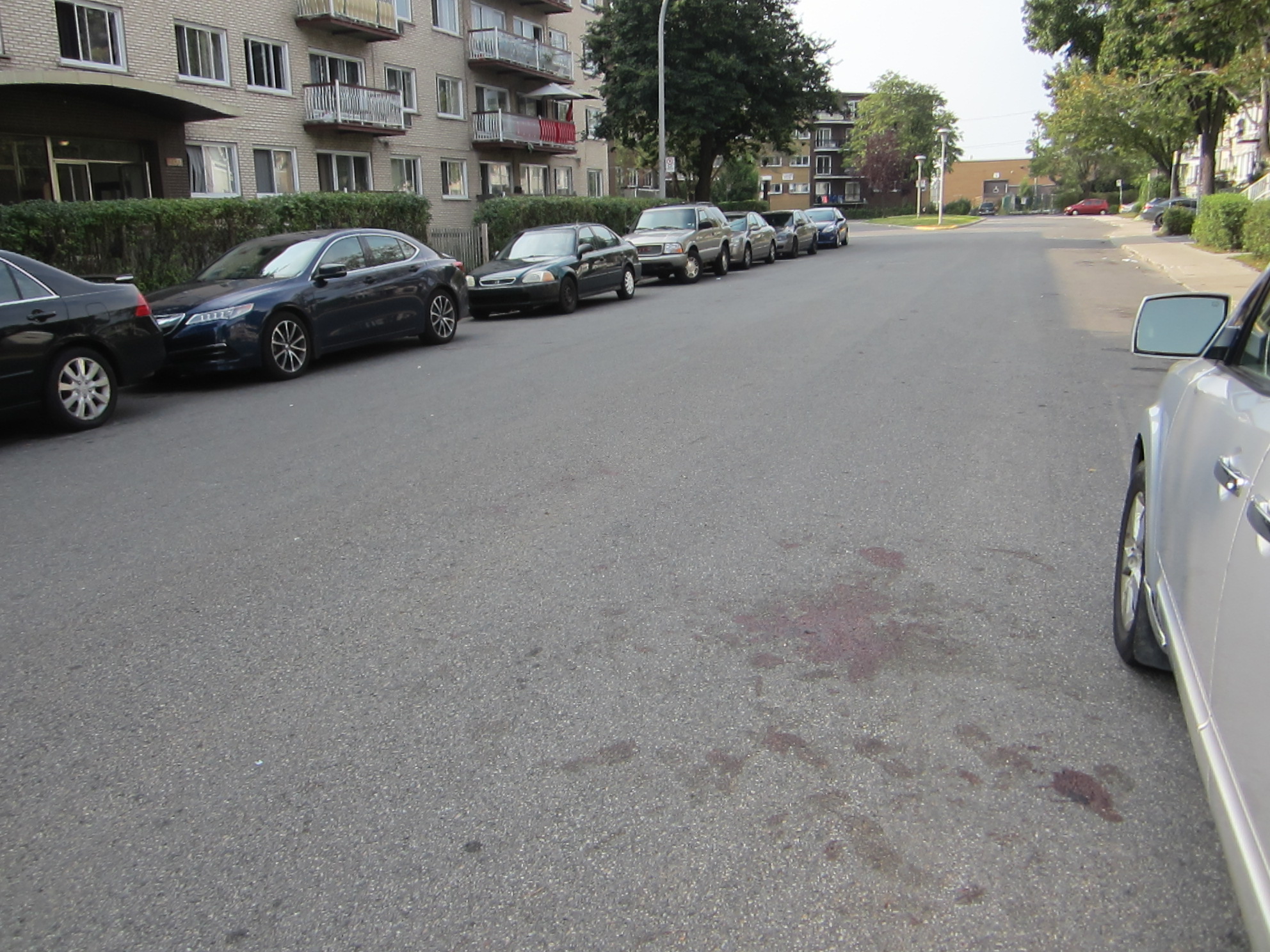 Tentative de meurtre rue Gold