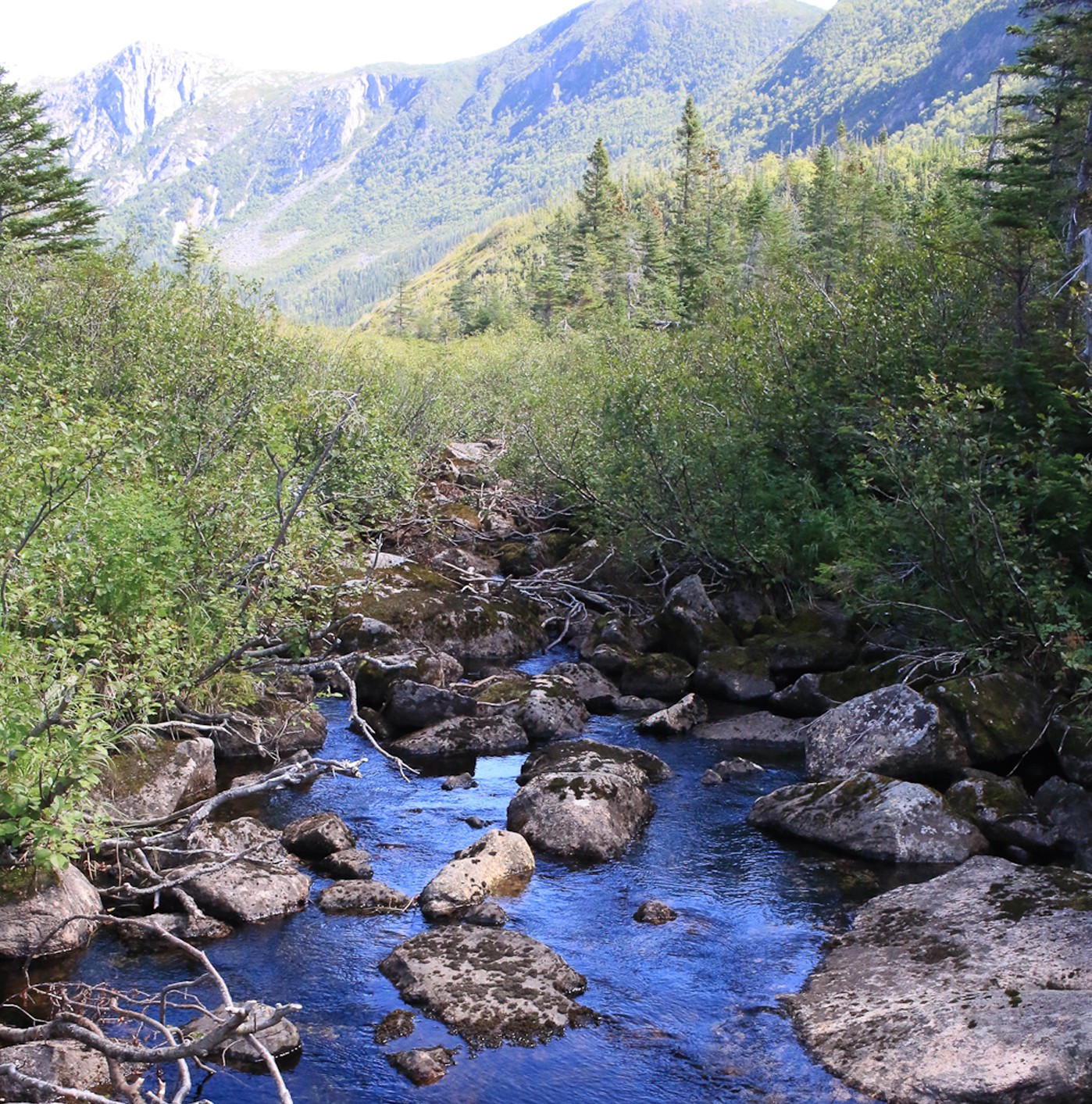 gasp&eacute;sie_lac-aux-américains