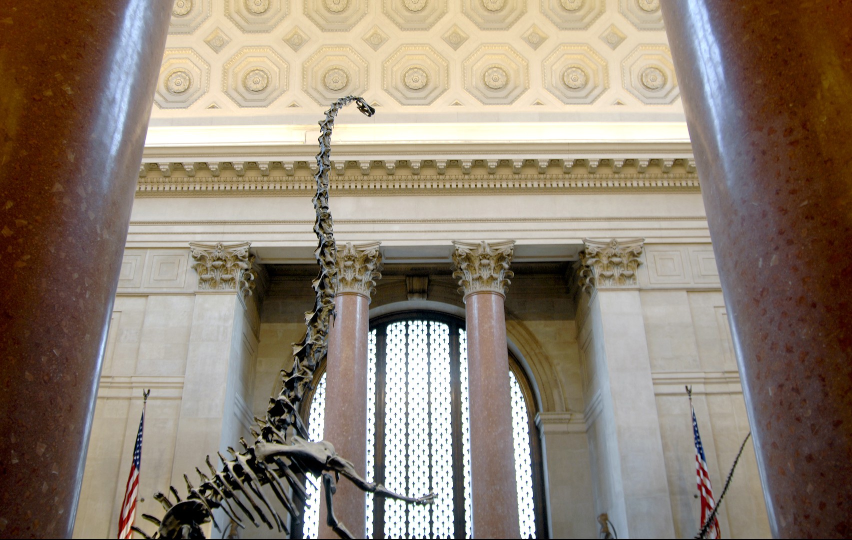 American Museum of Natural History