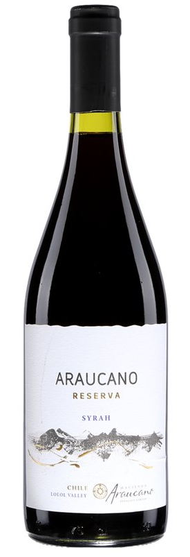 Araucano