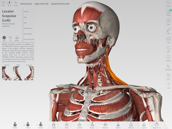 Complete Anatomy