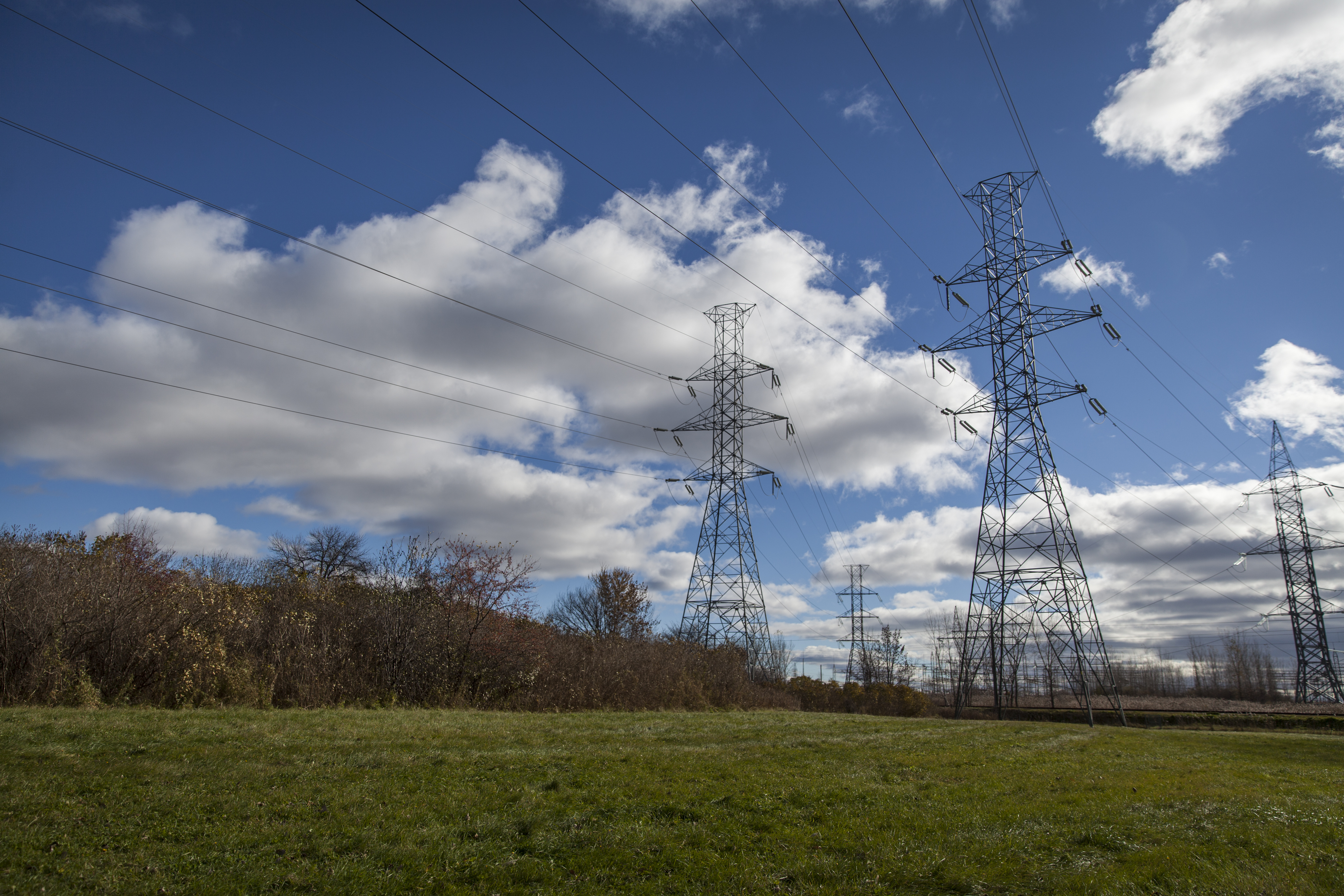 Hydro Quebec Finance La Plantation D Arbres Sous Ses Lignes Au Bois De Liesse