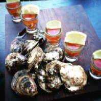 Oysters display