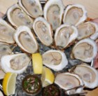 Oysters platter