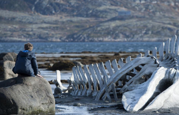 Art 2015 Cin&eacute; Leviathan