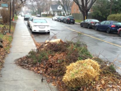 Photo: Amine Esseghir/TC Media