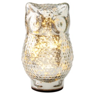 Gold lumière del hibou