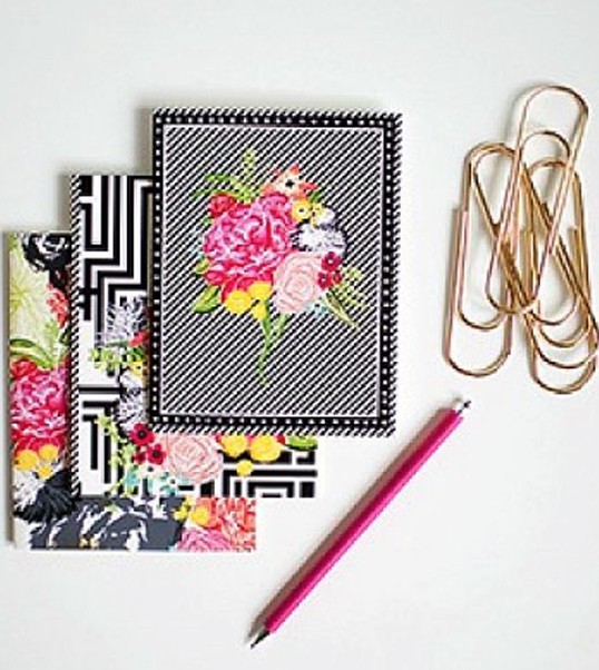 Profs carnets de note