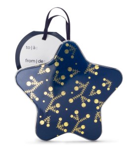 Profs Davids tea petits thés de Noel