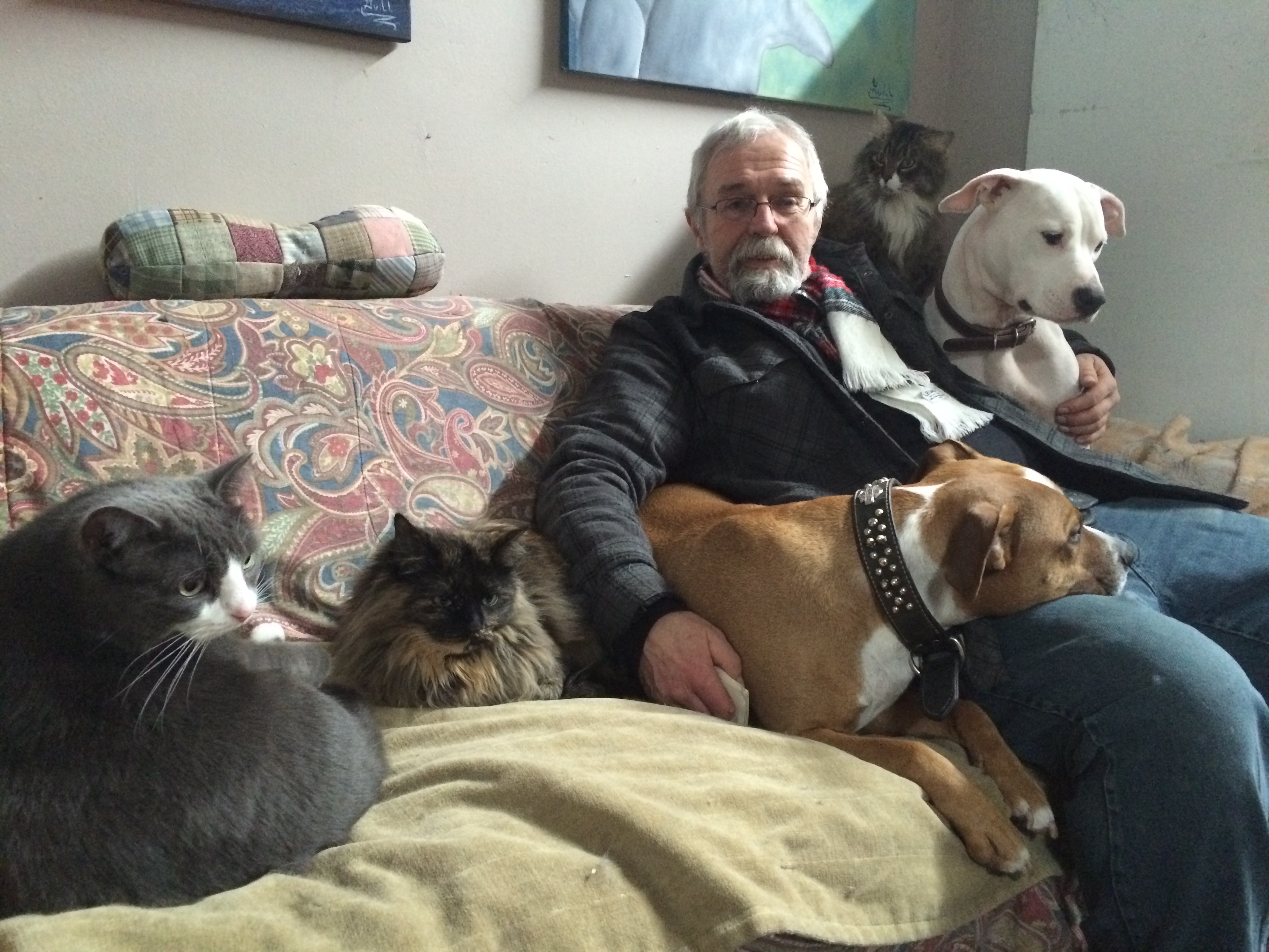 Un refuge pour animaux maltraités crie à l'aide