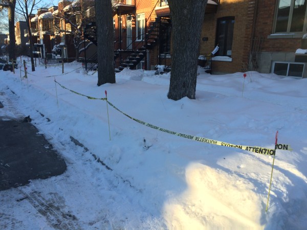 bandes gazon d&eacute;truites d&eacute;neigement