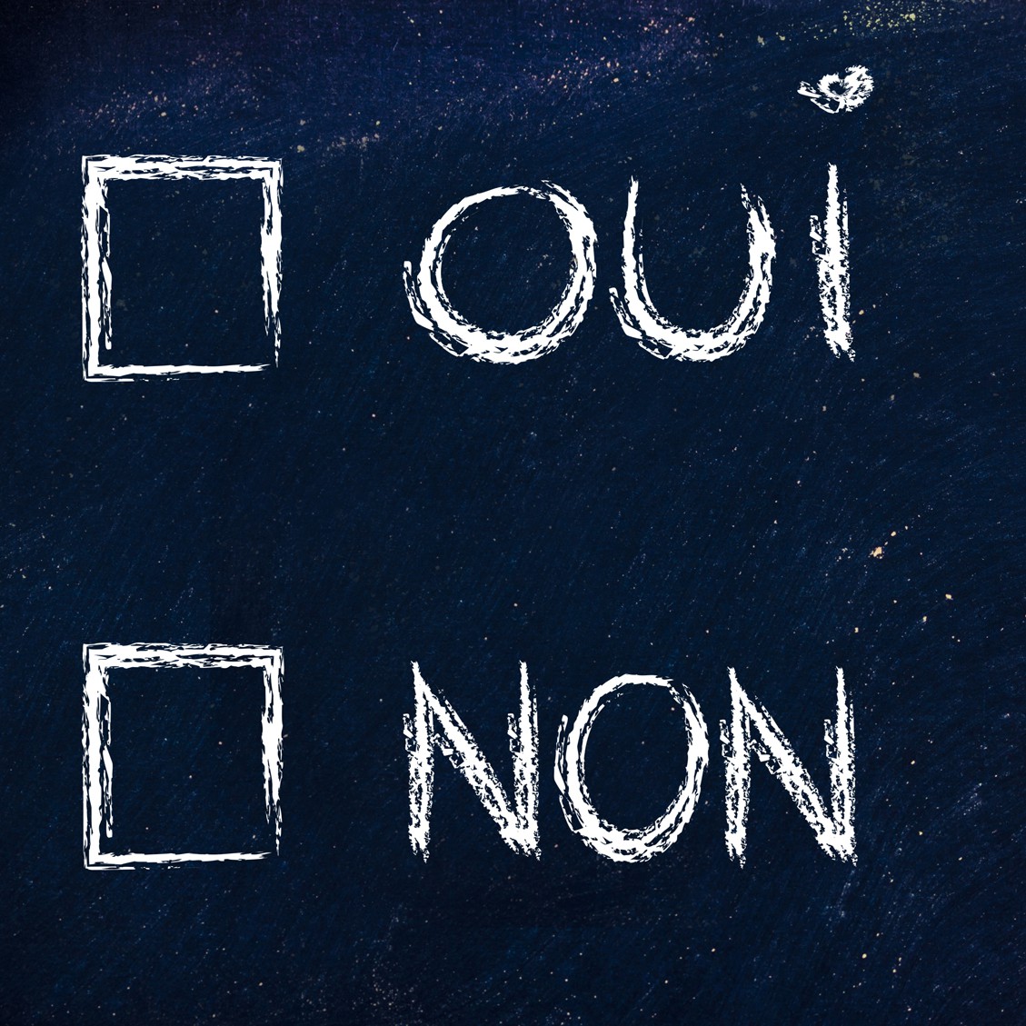 multiple choice test, oui (yes) non (no)