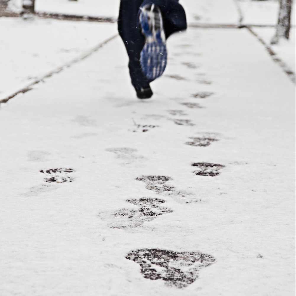 VIVRE_neige_c100