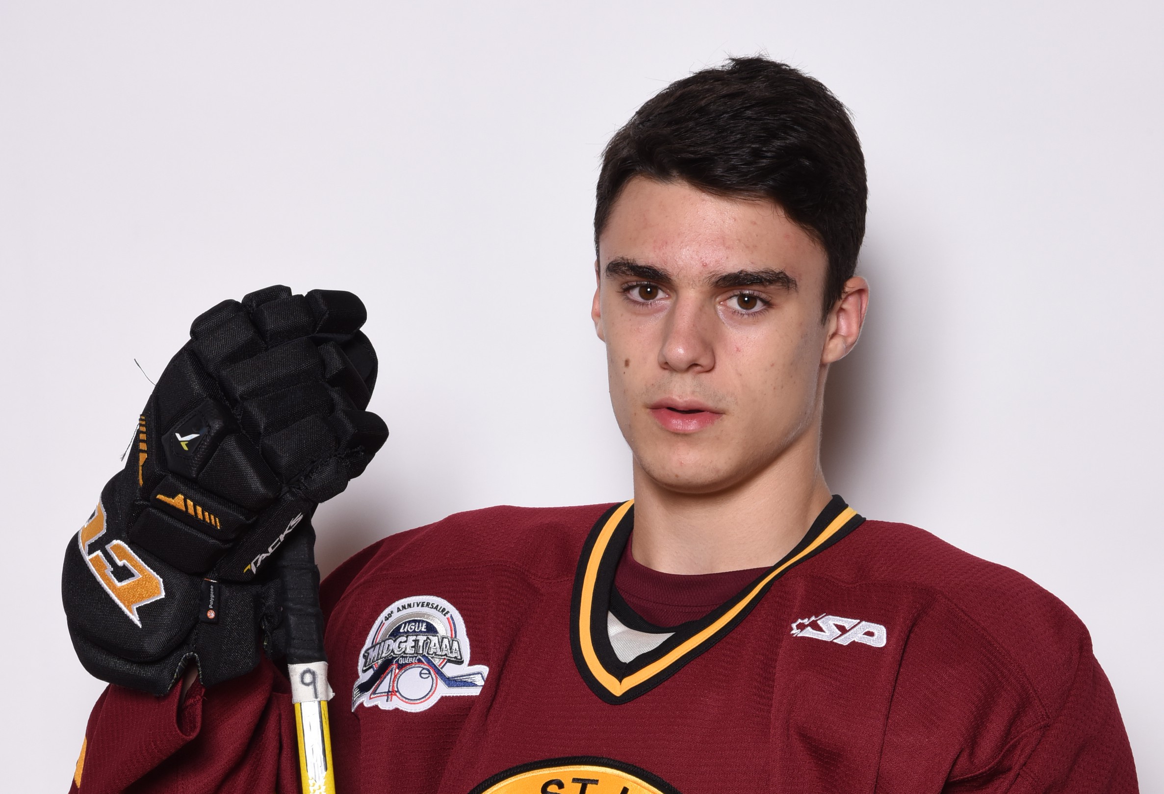 Gabriel Fortner Ligue de hockey midget AAA du Québec: Gabriel Fortier est la recrue du ...