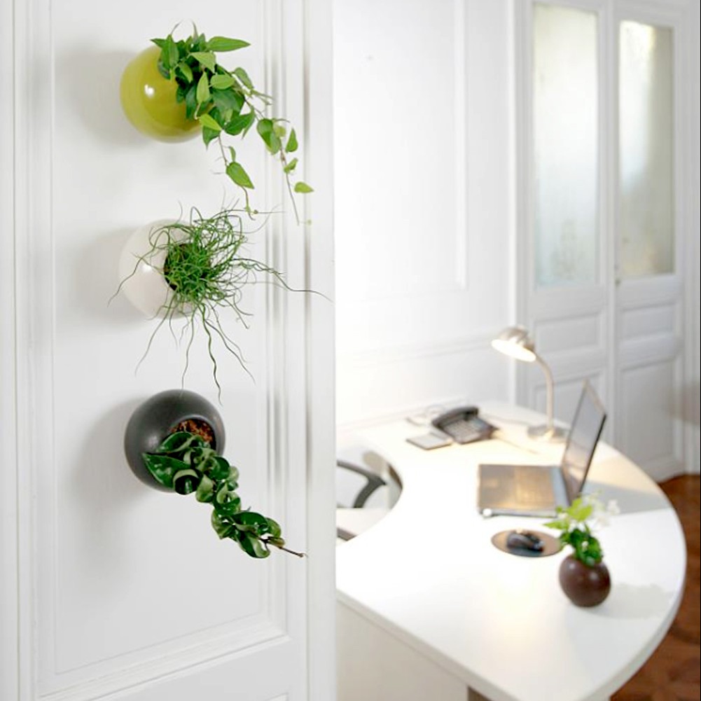 MAISON_Vertuose_c100