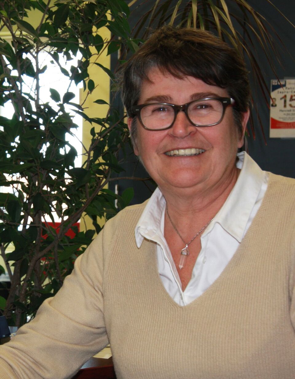 Anne St-Pierre Cr Najib Akiki