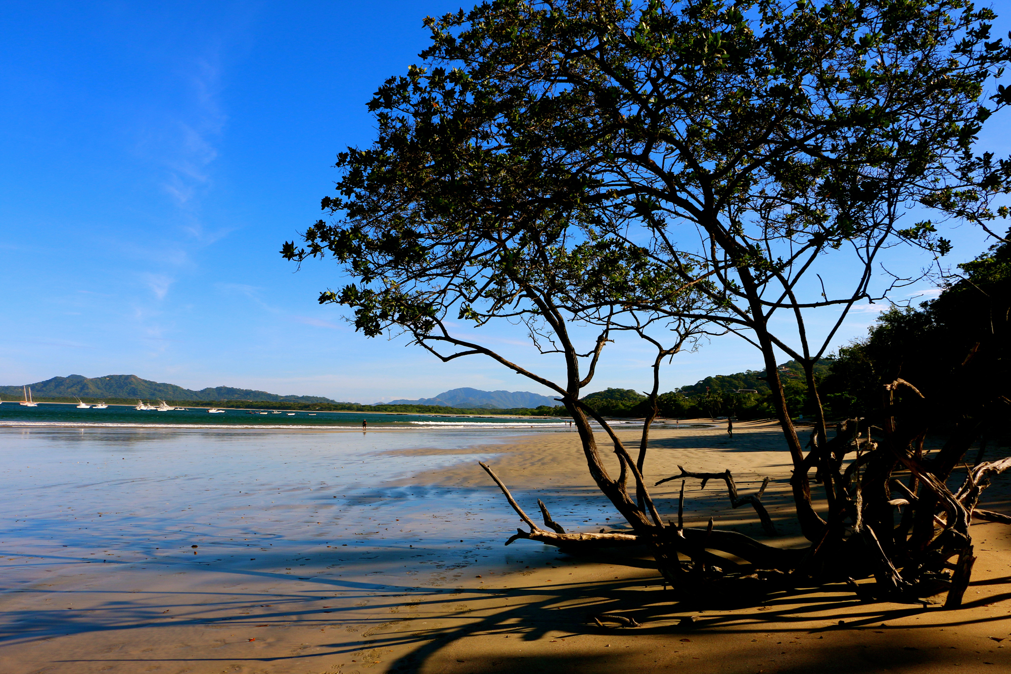 VACANCES_Plongée tamarindo beach costa rica guanacaste_c100