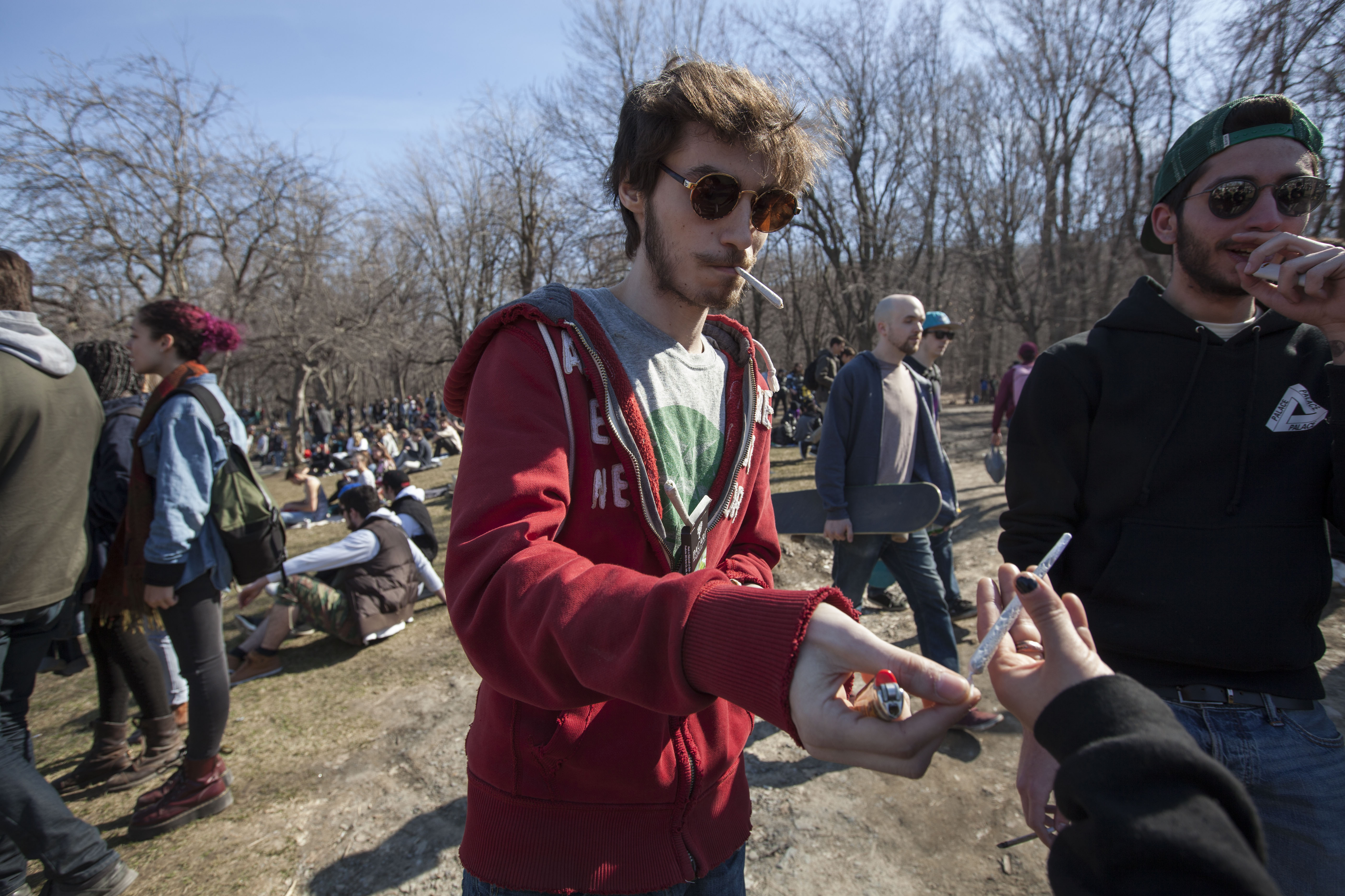 420 cannabis Mont-Royal 2016