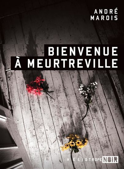 Art LIVRES bienvenue à meutreville