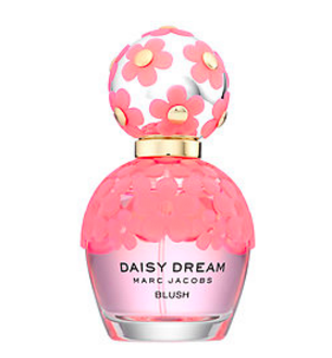 Daisy Dream