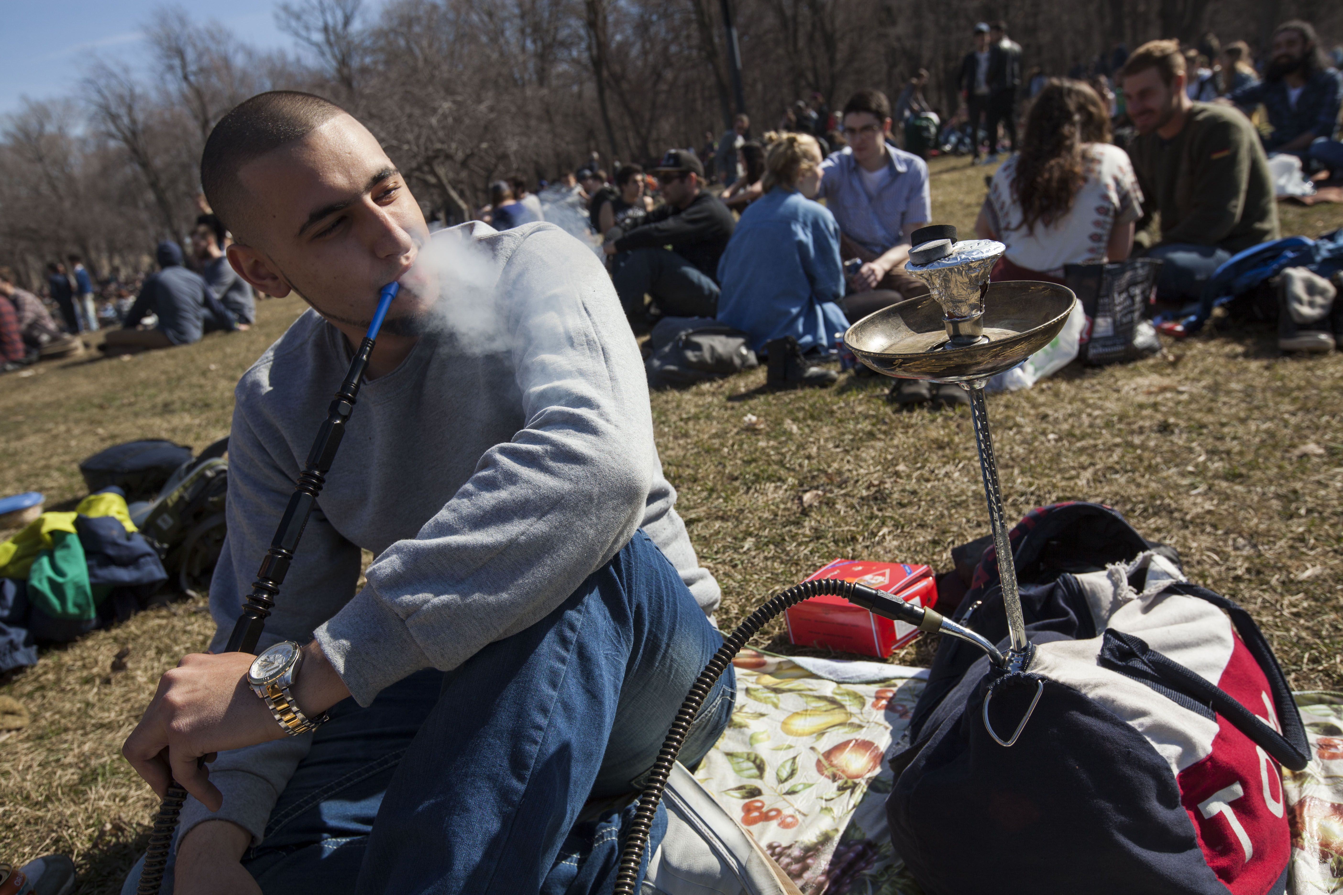 420 cannabis Mont-Royal 2016