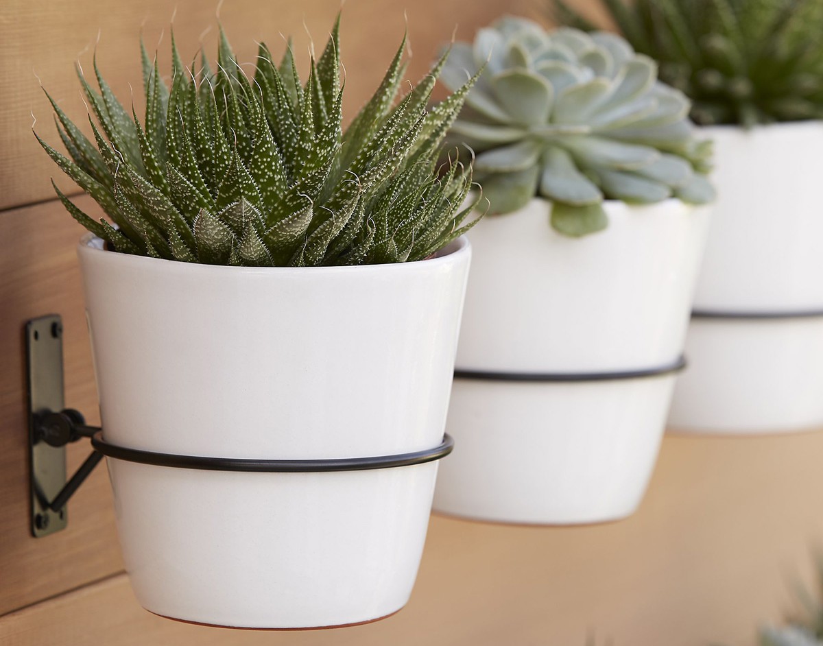 MAISON V crate and barrel_c100