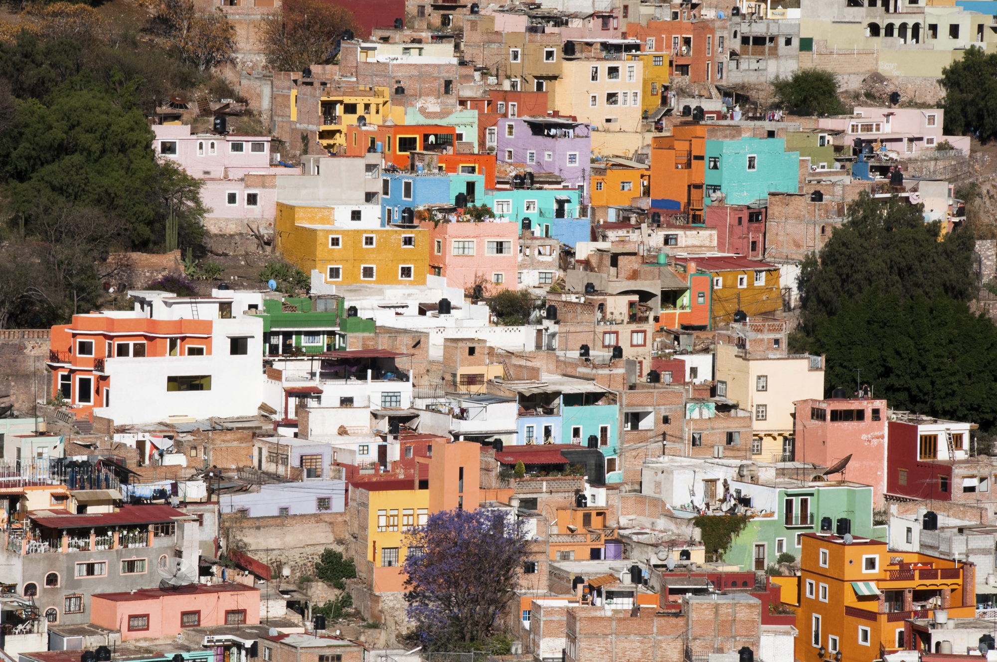 VACANCES_Guanajuato_c100