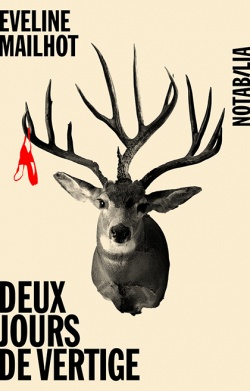Art LIVRES deux jours de vertige