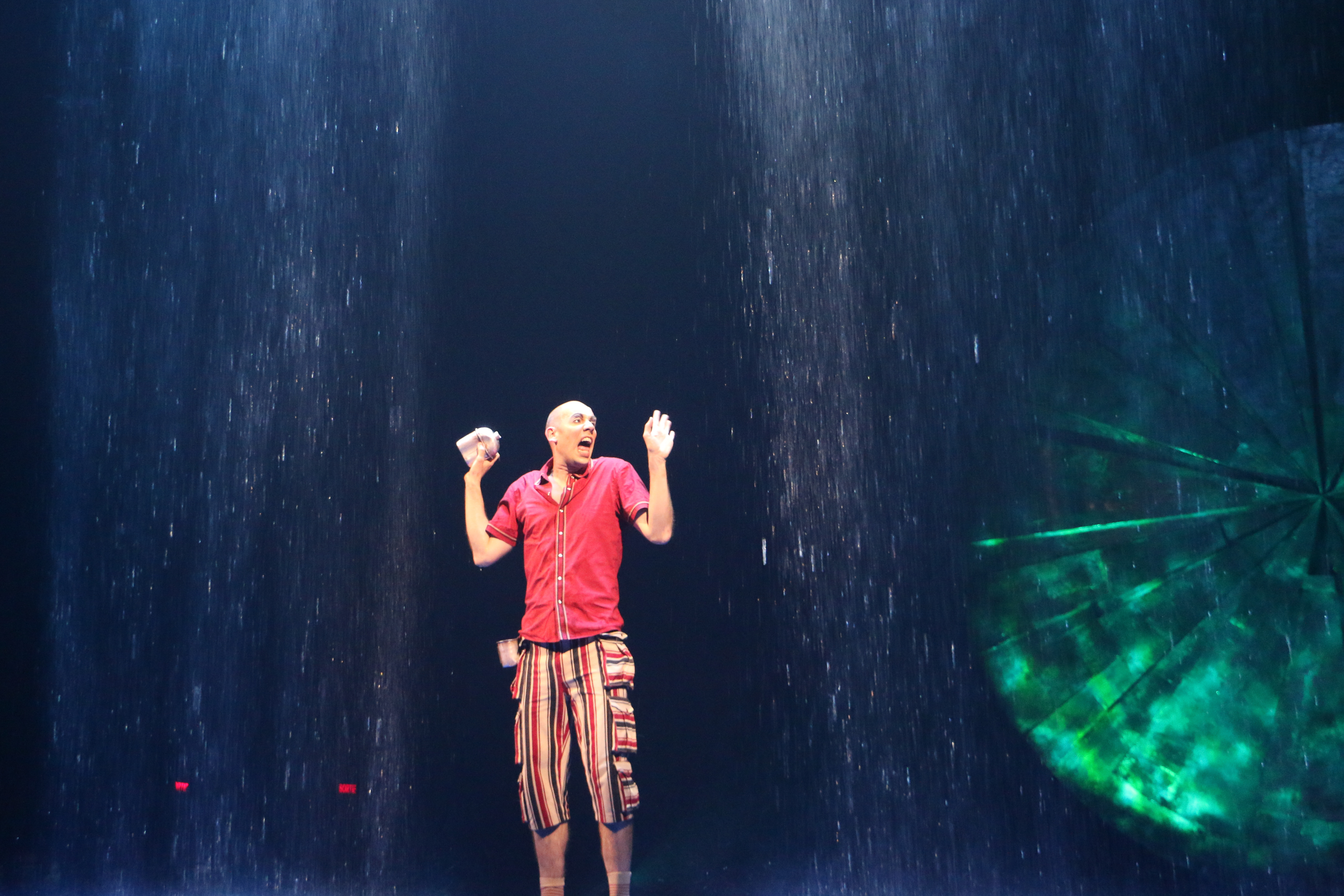 Art luzia cirque du soleil34