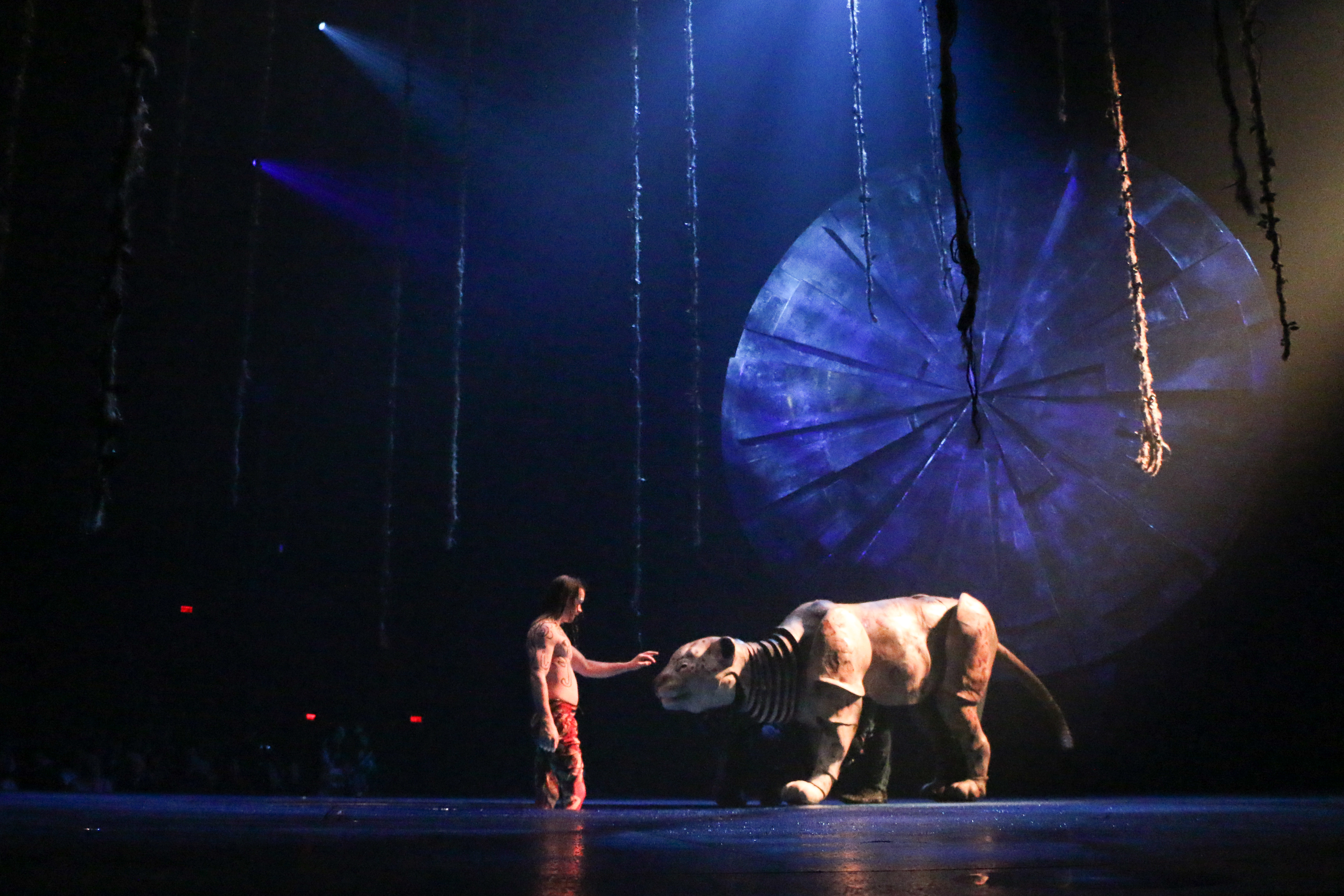 Art luzia cirque du soleil40